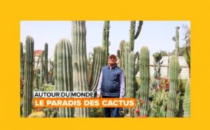 Capture d’une ferme de cactus