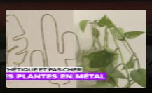 Une plante en métal